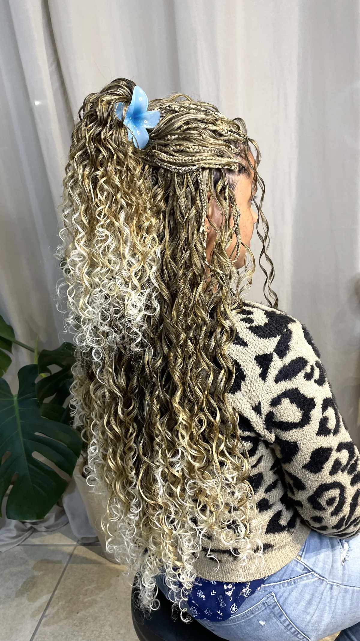Gypsy Braids